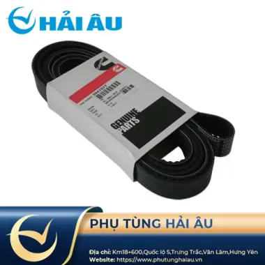 Dây curoa Động cơ Dongfeng SC5D130G2B1