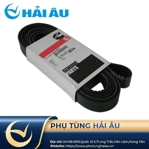 Dây curoa Động cơ Dongfeng SC5D130G2B1